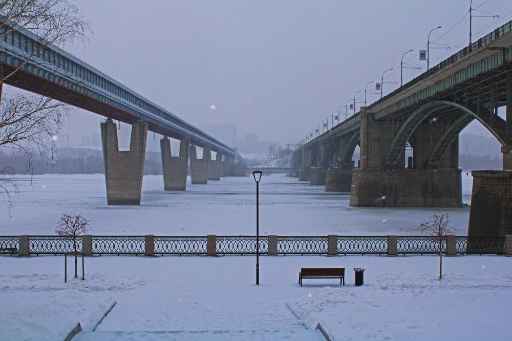 Photo #6821917