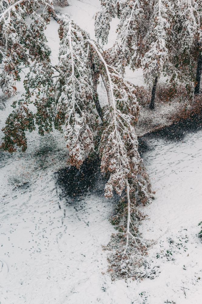 Photograph by Андрей Ляхов