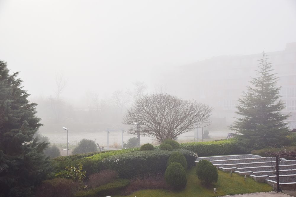 Хмурое утро.