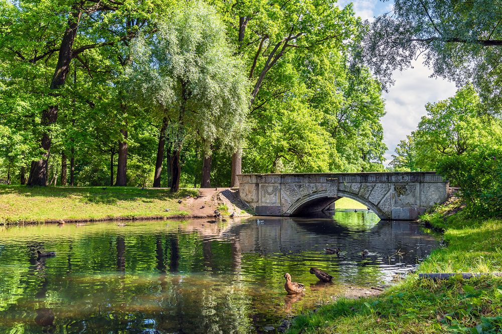 Фотография автора Добрыднев Сергей