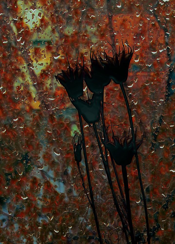 Цветочное таинство