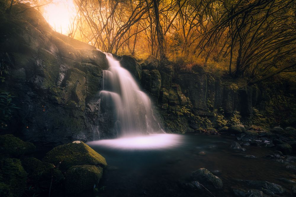 Photograph by Nerollens