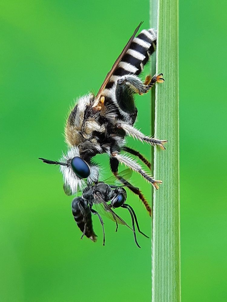 Photograph by TAPAS GHOSH