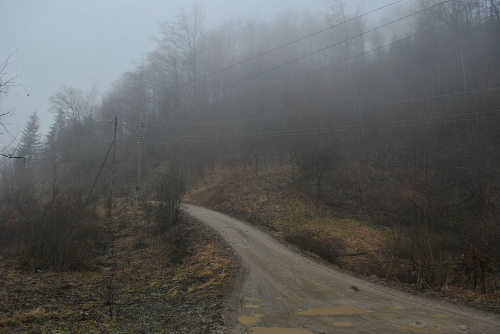 Фотография автора Алексей Воронкин