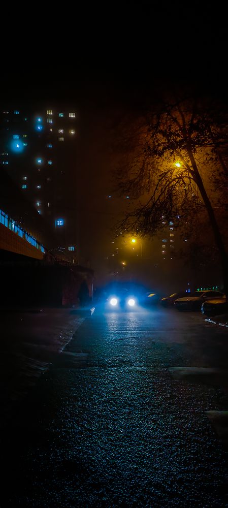 Фотография автора Ольга Хорева