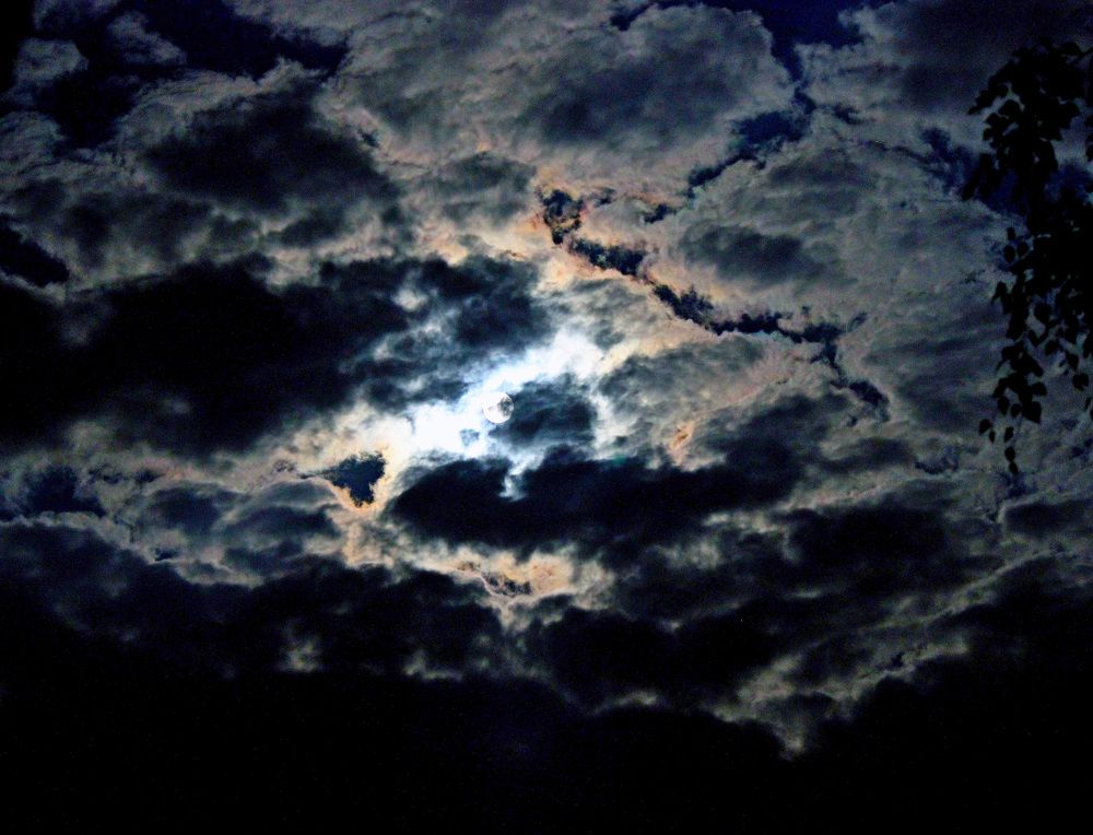 Photograph by Александр Бугаенко