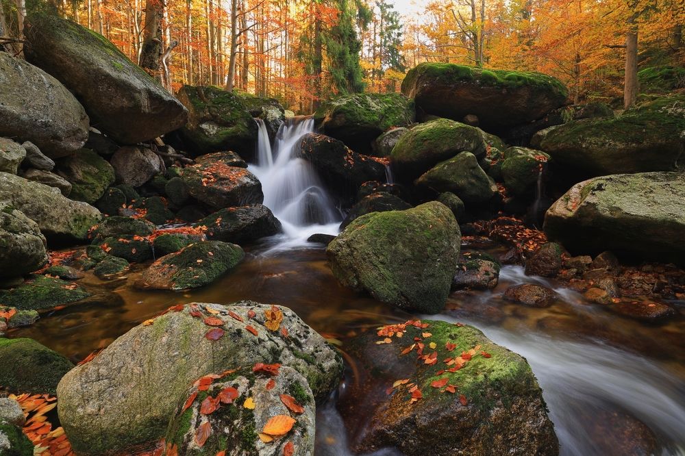 Фотография автора Michaela Vinterova