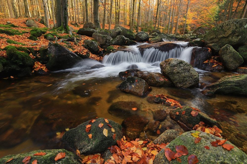 Фотография автора Michaela Vinterova