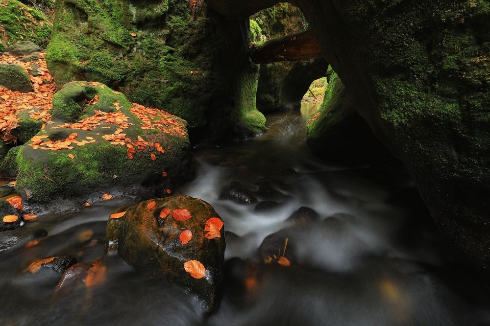 Фотография автора Michaela Vinterova