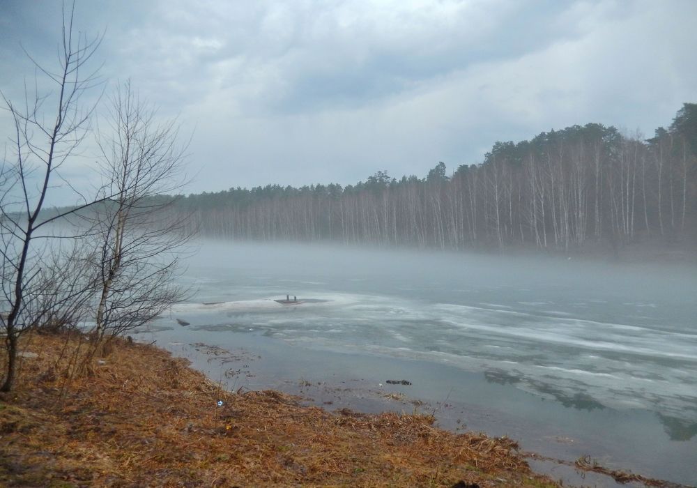 Фотография автора Клавдия Васильева