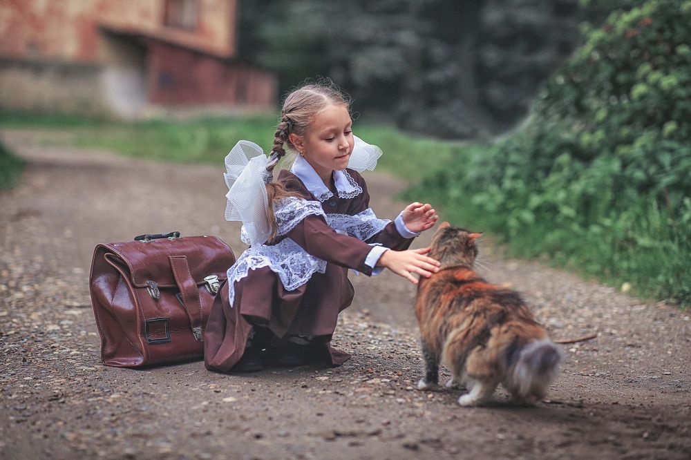 Любимый кот.