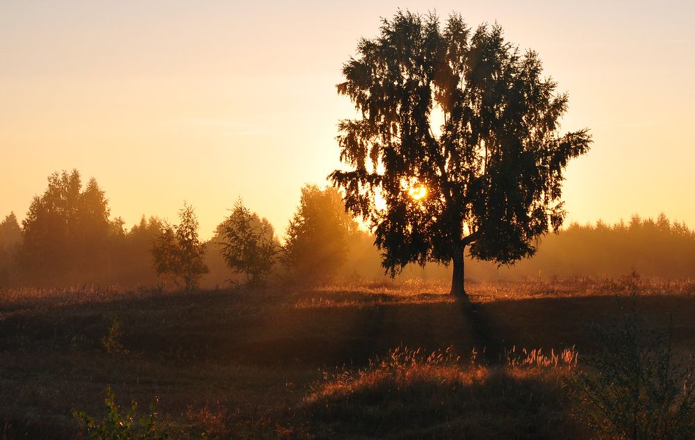 Photograph by Светлана