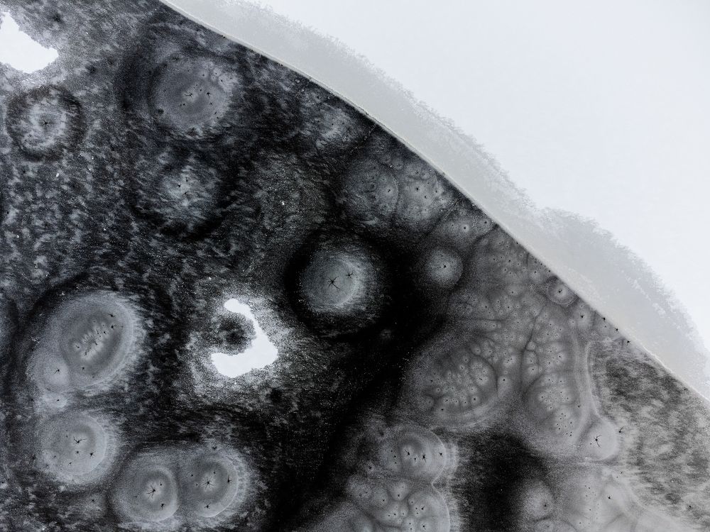 Фотография автора Мартыненко Дмитрий