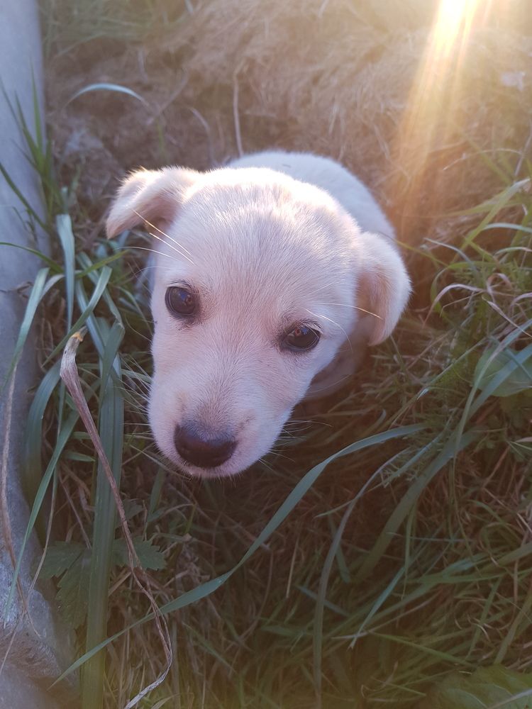 Photograph by Ліана Устимчук