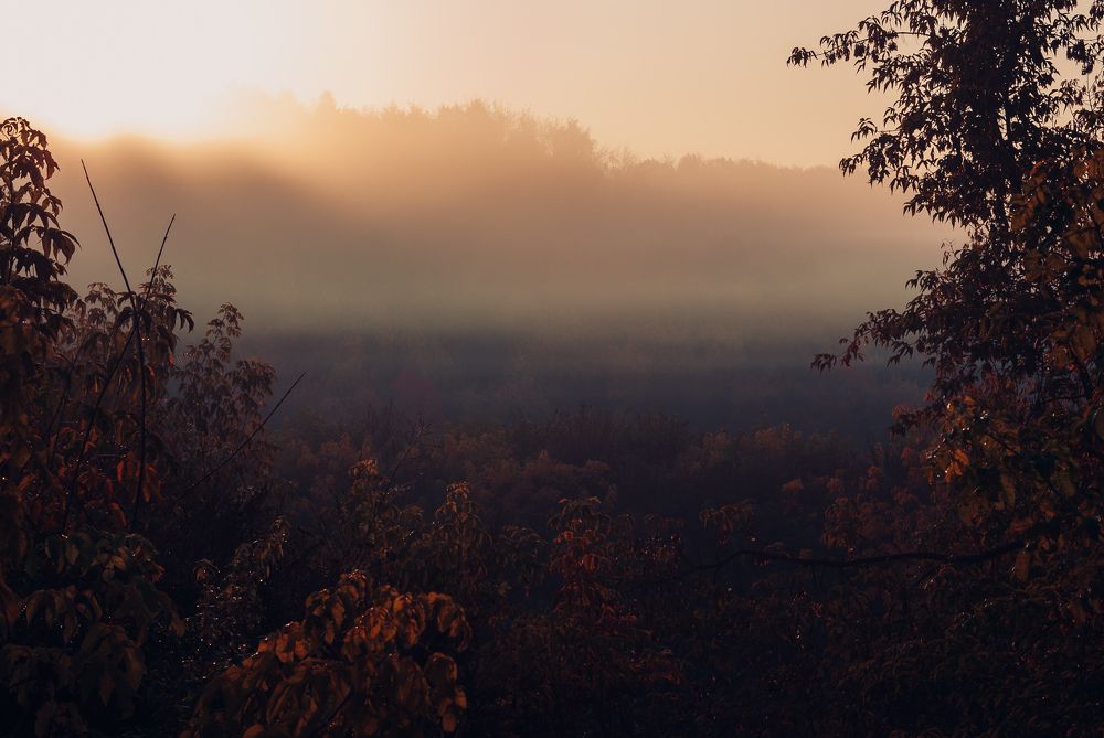 Фотография автора Наталья