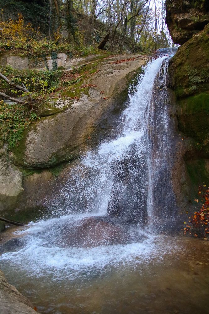 Photograph by Виктория Бережок