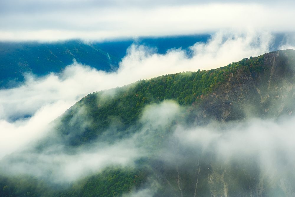 Photograph by Hengameh pirooz