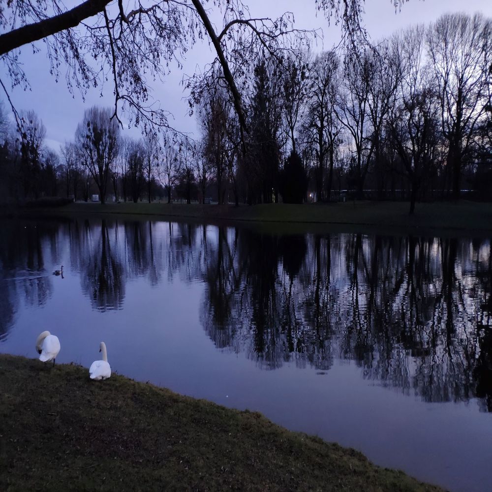 Photograph by Luis Alfredo Morales Torres