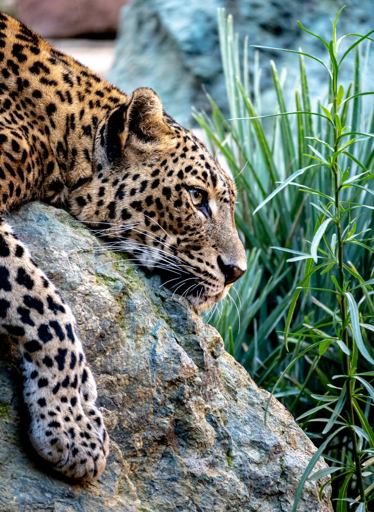 Photograph by Kristiina Stahlberg