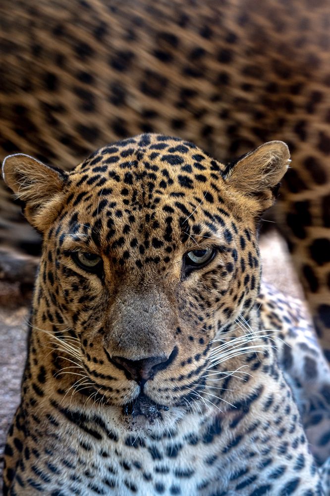 Photograph by Kristiina Stahlberg