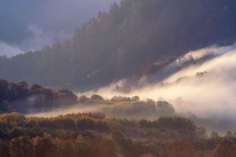 Photograph by Elena Gureva