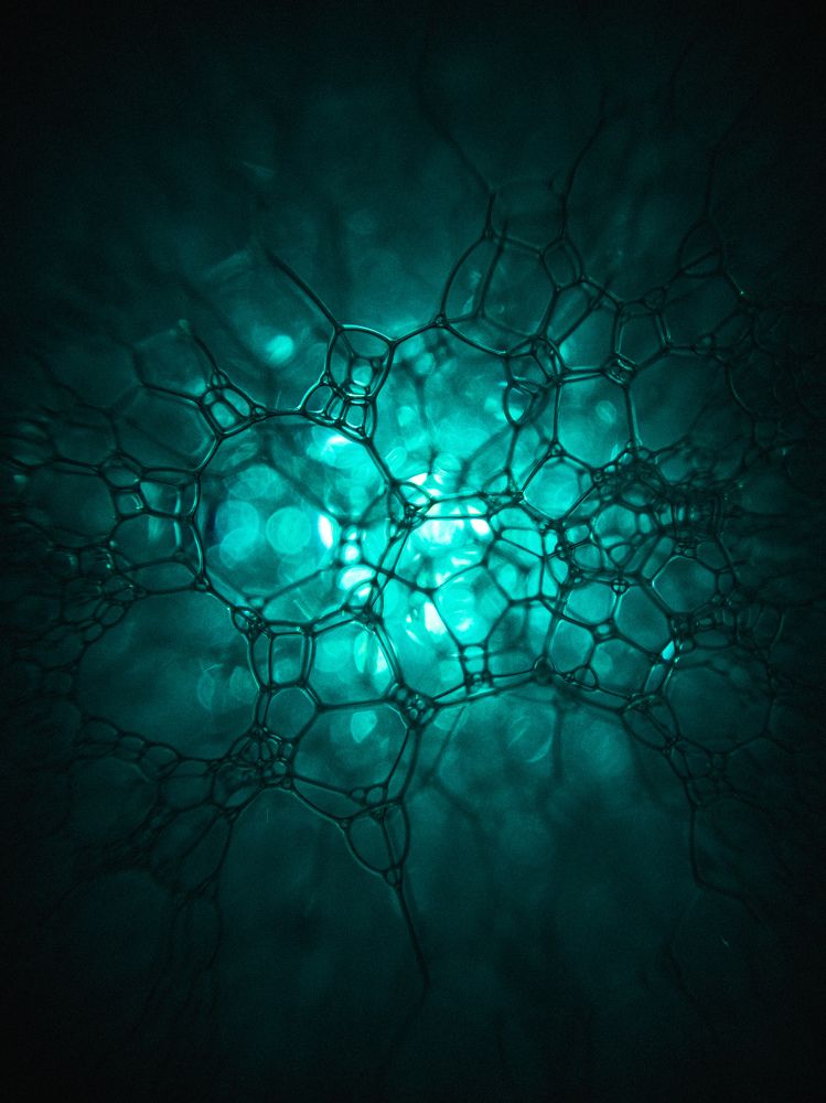 Photograph by Алексей Крукович