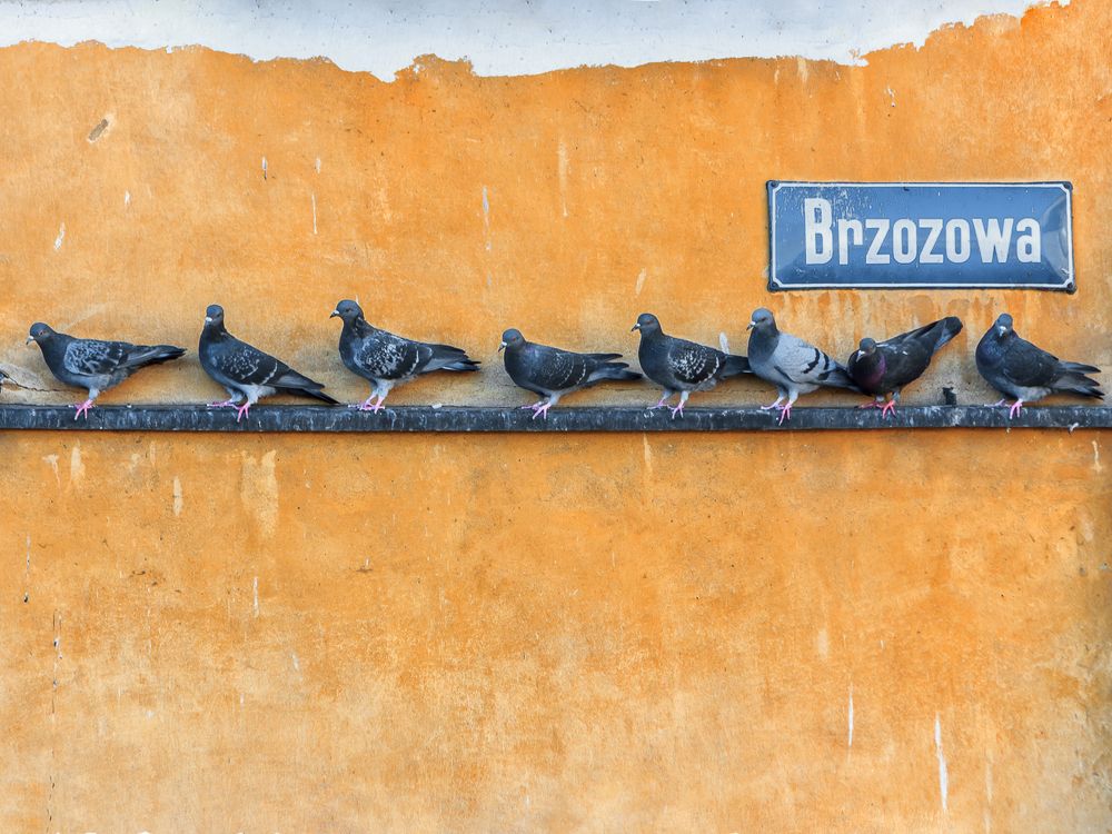 Фотография автора Иван Вострецов