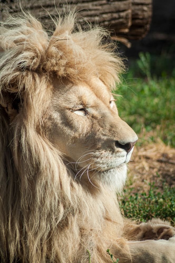 Photograph by Денис Кичев