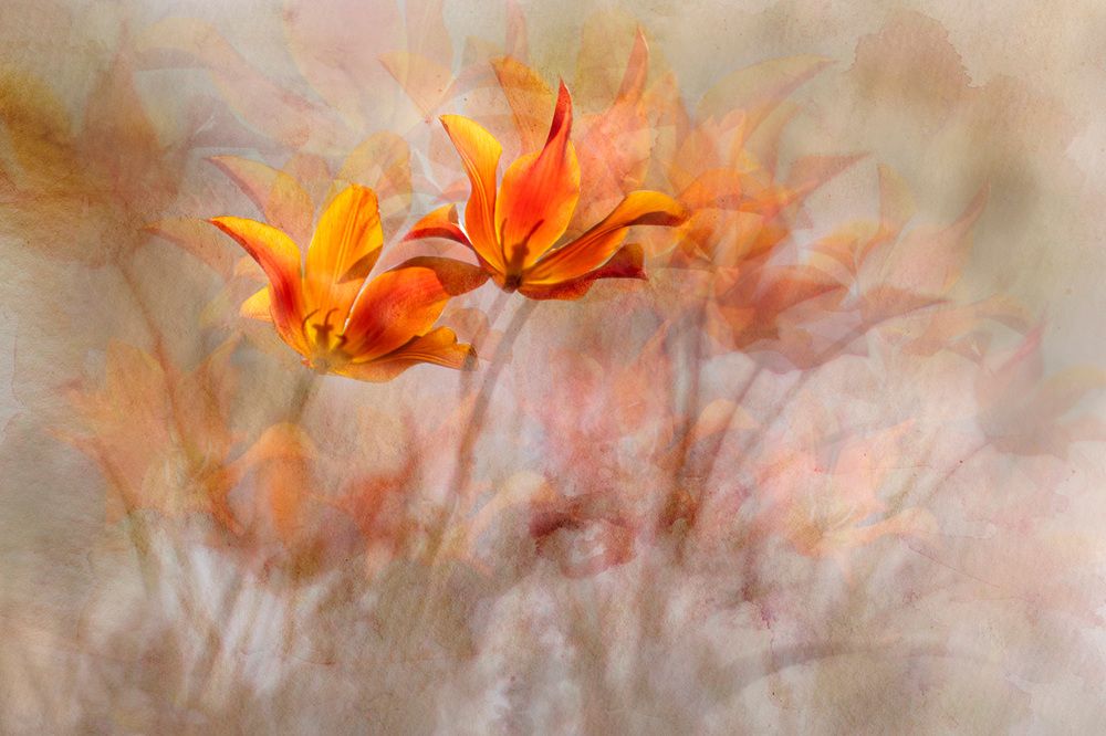 Весенние миражи