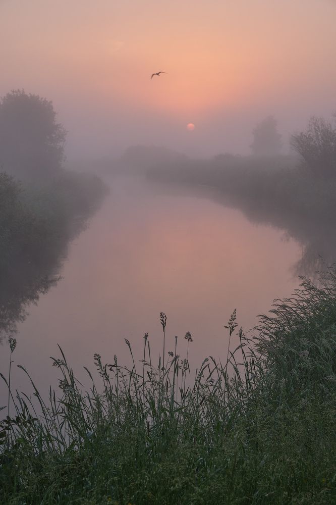 Photograph by Горшков Игорь