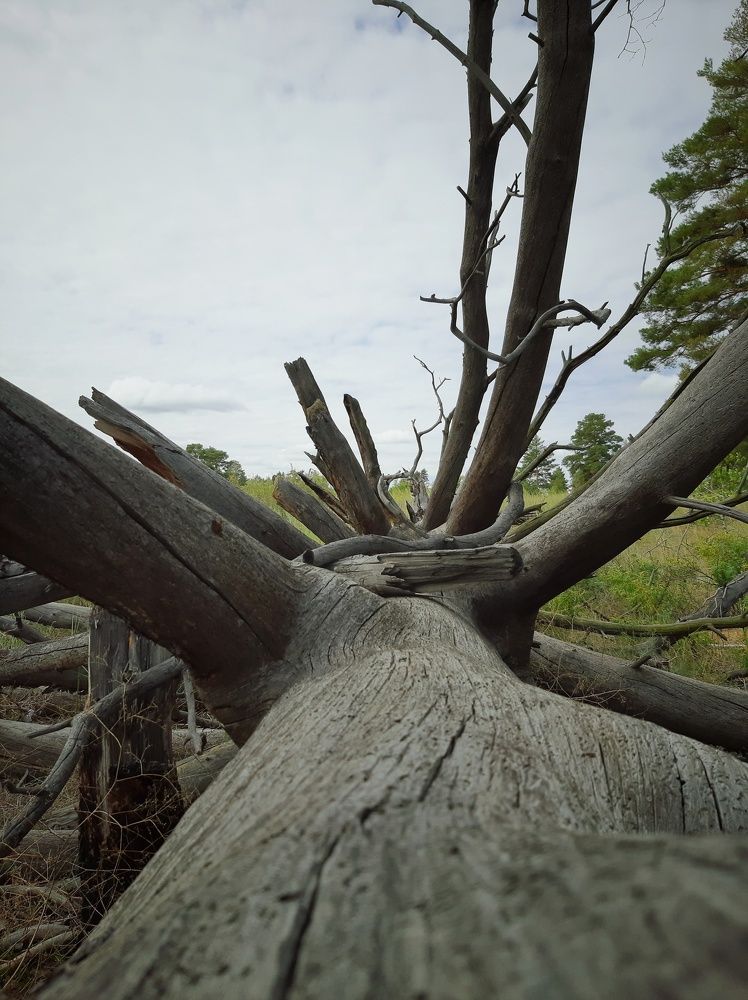 Photograph by Дамир Батряков