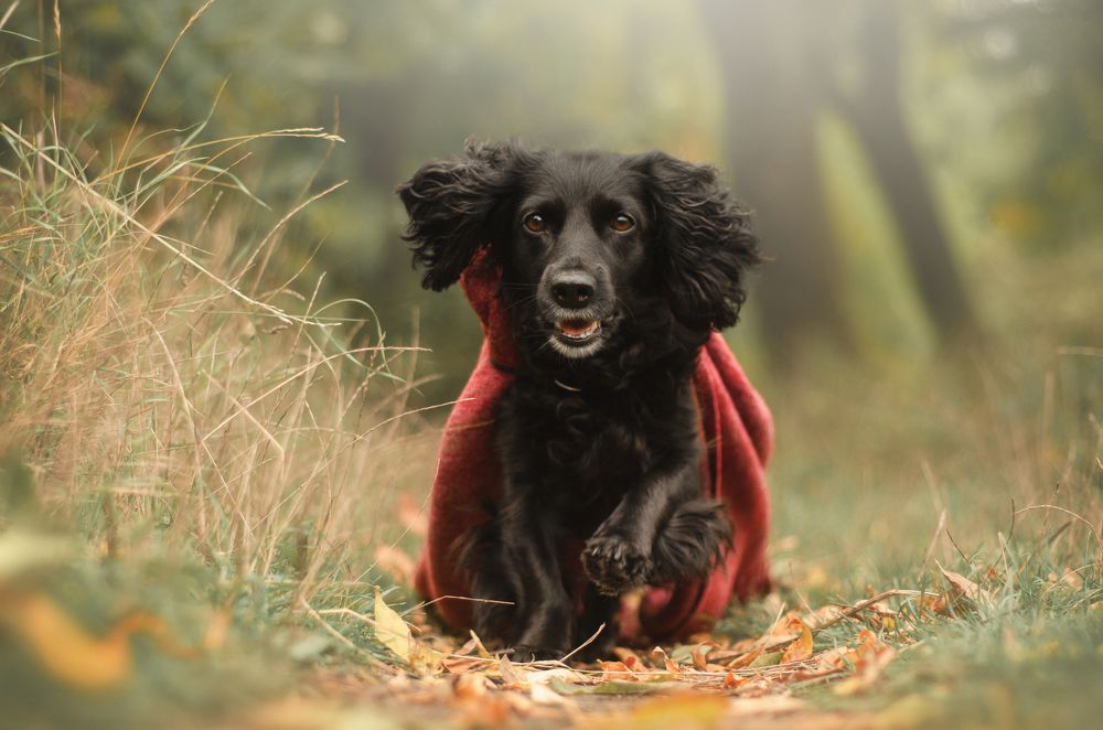 Photograph by Maryna