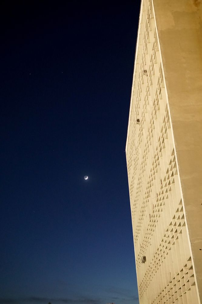 Каллиграфия