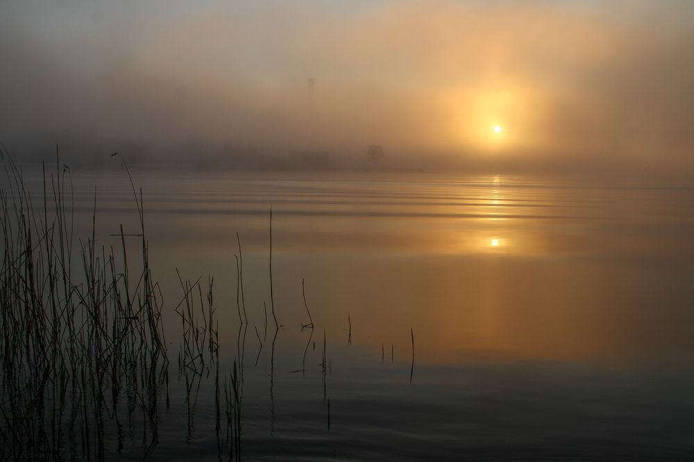 Доброе утро