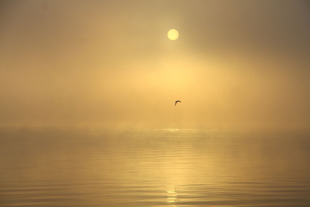 Photograph by Ольга