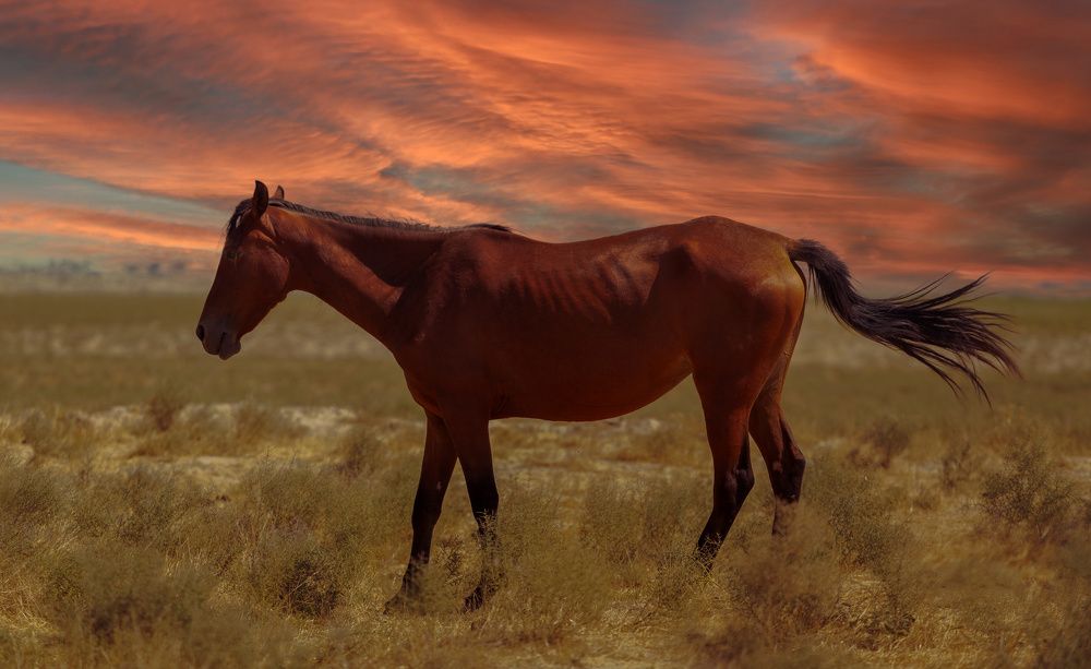 Photograph by Александр Коблов