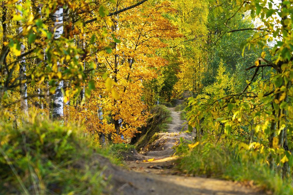 Photograph by Алексей Маринченко