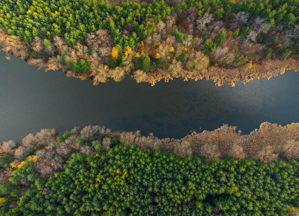 Photograph by Raghuvamsh Chavali