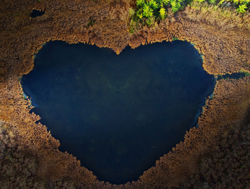 Photograph by Raghuvamsh Chavali