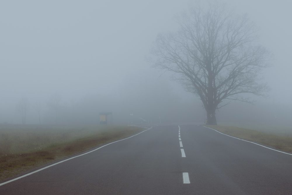 Фотография автора Ольга Никанович