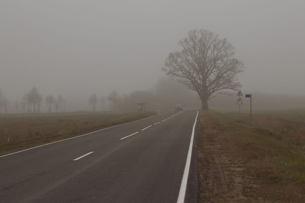 Фотография автора Ольга Никанович
