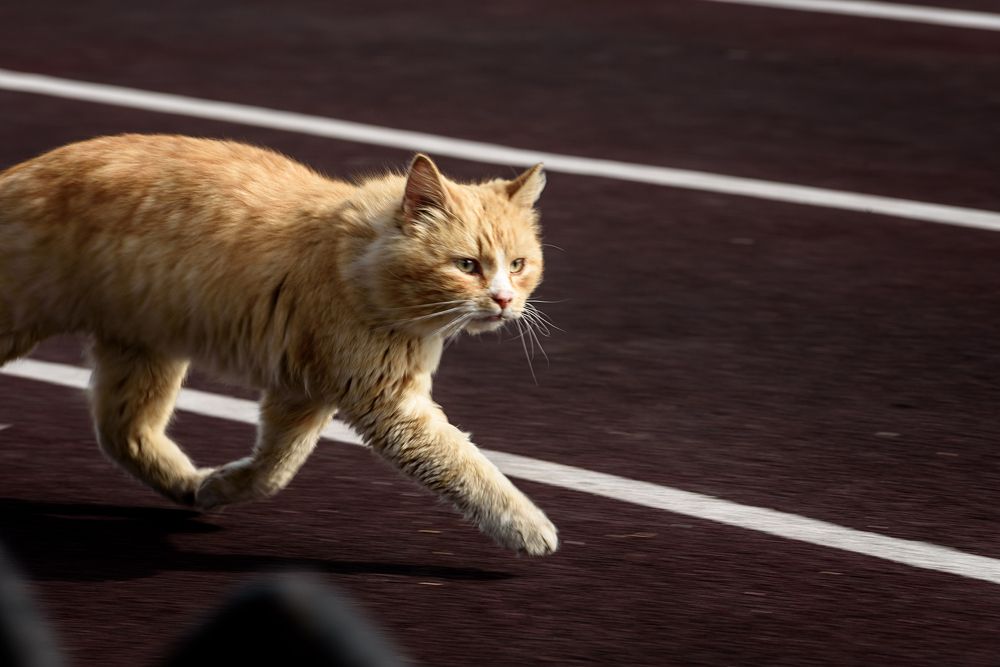 Photograph by Юрий Силин