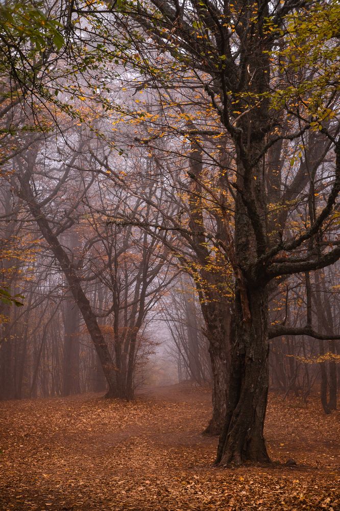 Photograph by Василий Бережной