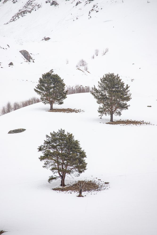 Photograph by Василий Бережной