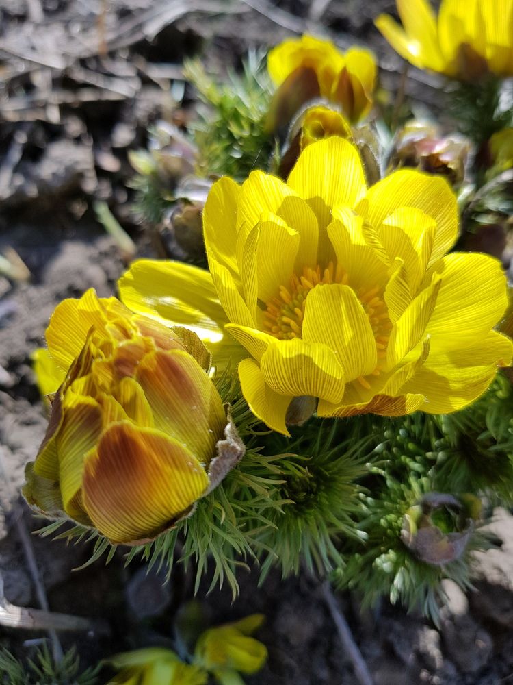 Photograph by Olha Teraz