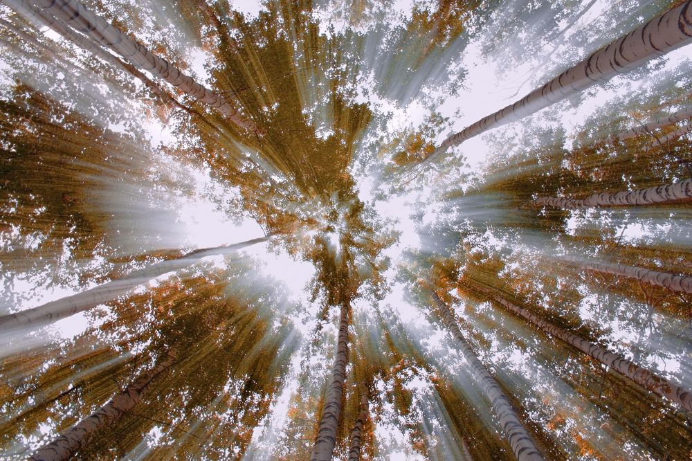 Photograph by Ольга Заболотская