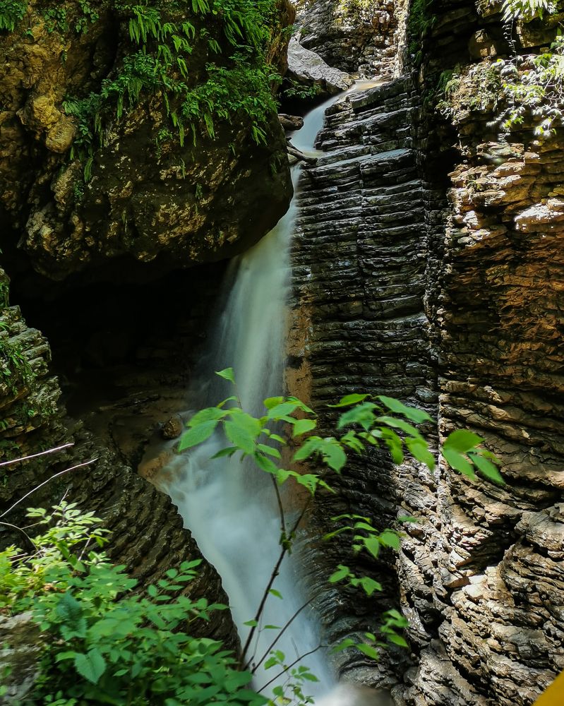 Фотография автора Александр Кадышев