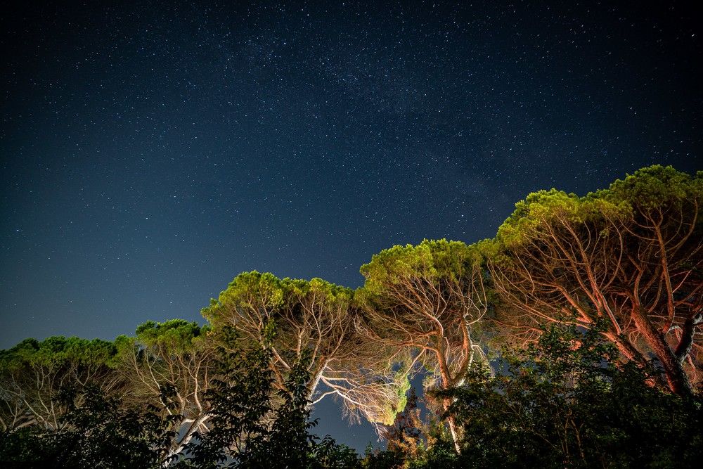 Photograph by Георгий Бычковский