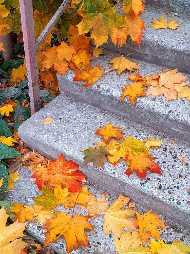 Photograph by Евгения Ульянова