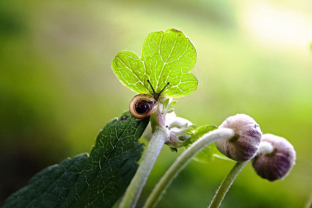 Photograph by Ирина Чуб